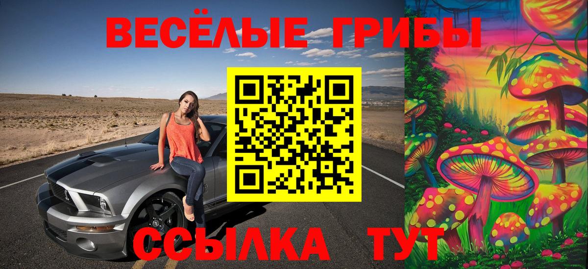 Псилоцибиновые грибы мицелий Сердобск